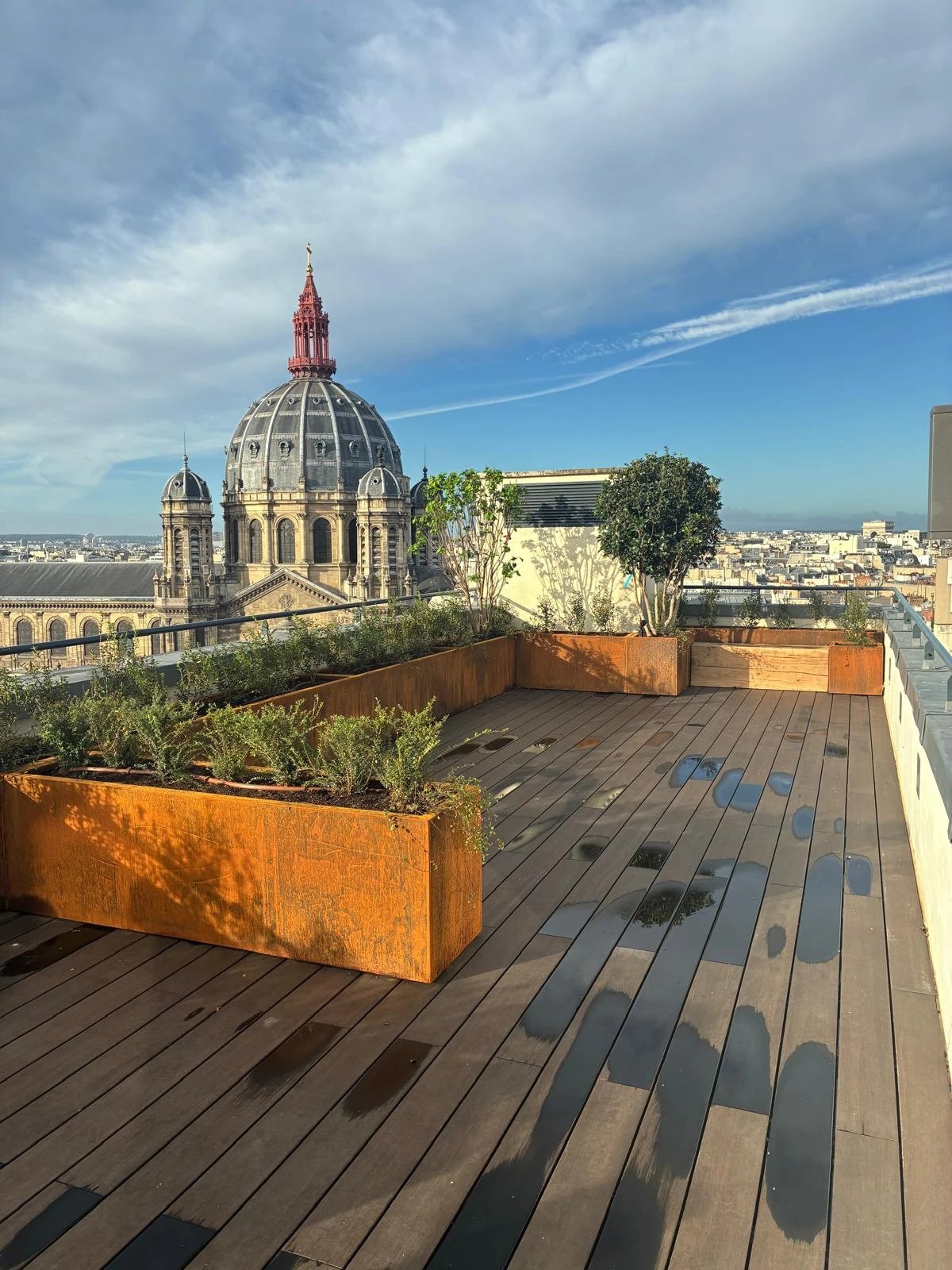 Immeuble Rocher, terrasse végétalisée en toiture avec vue sur le dôme de l'église Saint-Augustin